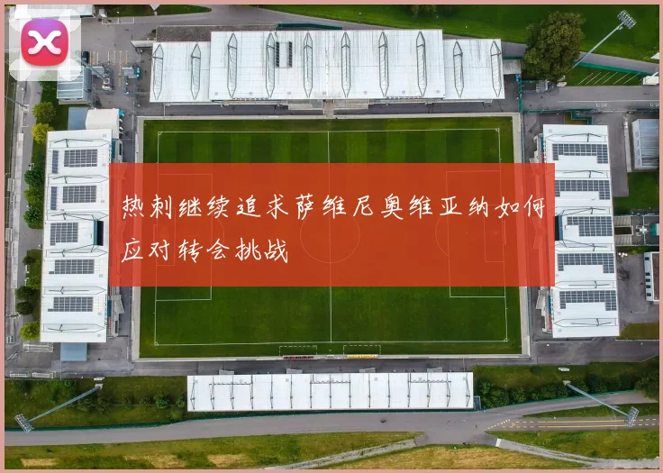 热刺继续追求萨维尼奥维亚纳如何应对转会挑战
